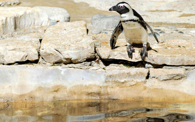 2025 State of the City