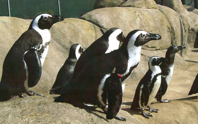 2025 State of the City